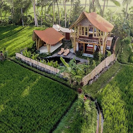 Arapan Ubud Eco Villa מראה חיצוני תמונה