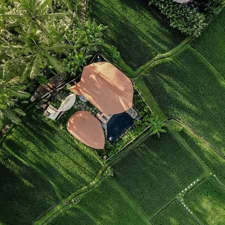 Arapan Ubud Eco Villa מראה חיצוני תמונה