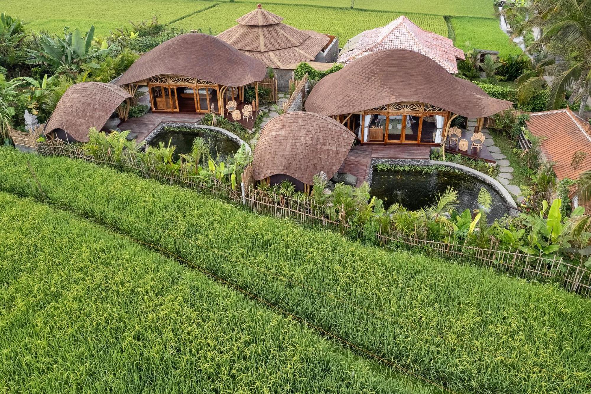 Arapan Ubud Eco Villa מראה חיצוני תמונה